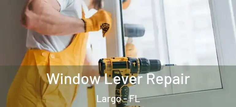  Window Lever Repair Largo - FL