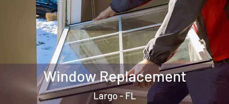  Window Replacement Largo - FL